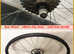26 inch Muddyfox Bike Wheel Set  - 7 cog