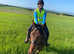 Champion show horse