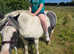 Lovely little cob