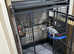 Tamed Talking African Grey Parrot with Cage