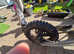 125 pit bike