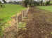 Stock fencing