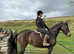 Flashy, 15.2 TB mare