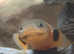 Reed Fish