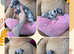 Marle chihuahua puppies - READY TO GO