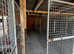 Kennel Block