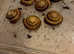 Giant land snails, slugs, millipedes and slugs needing homes