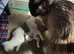 Beautiful babies ready soon 2 boys 2 girls.