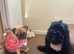 PUG OR FRENCH BULLDOG WANTED FOR ADOPTION FOR LOVING HOME