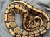 Ball python red striped het clown felmale