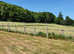 KINGSLEY GREEN HASLEMERE SURREY GRAZING LAND TO RENT