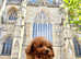 Asian Toy Poodle (Korean & Chineese) VERY small