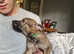 Ready now! german shepherd puppies