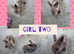 5 beautiful litter of dwarf lionhead cross mini lion lop ready to reverse