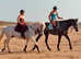 Quality Connie Gelding