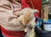 Two Beautiful boys available now