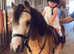 **Beautiful dun registered section A mare**