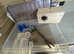 New Budgie nest box and bird feeders