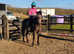 12.3 childs pony