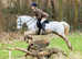 Mist 14.2hh cob gelding