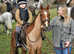 Pony Club/Hunting Pony