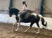 Super summer project mare
