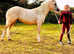 Burt, 11.2h palomino registered section A
