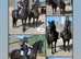 KFPS Friesian Mare 16'1 Confidence giver