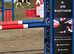 Stunning talented gelding for sale