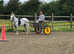 RHYDYFELIN STAR GIRL kids pony