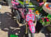 Stomp 50cc