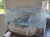 3 young male gerbils