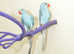Baby Blue Ring Neck Talking Parrots,17