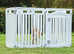 Puppy play pen