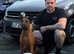 F1b Working Dobermann Puppies