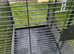 Large parrot cage