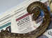 Gold Phase Cat Eyed Snakes at Birmingham Reptiles