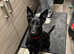 Belgian shepherd
