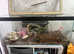 Land Hermit crabs and set up