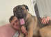Nala cane corso