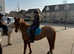 Beautiful jumping pony