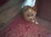 Adorable Freddy such a cutie