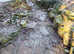 Rockery and paving stones for sale