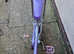Qualcast concorde Electric cylinder Lawnmower
