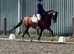 Super small allrounder