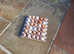 Jersey giant hatching eggs for sale ..............show quality........fresh every day...