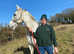 Irish  draft  mare for  sale
