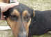 Jesse James is ready to come to liven up your family walks , a beautiful natured little boy 18 mnths