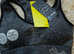 New DARE2B Sports Bra, Size XS