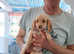 4 beautiful cockapoo pups ready to go to their forever homes